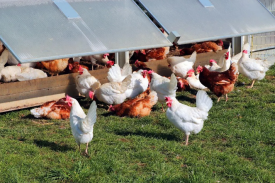 现代化规；；；臣巴涝准庸は钅靠尚行匝芯勘ǜ