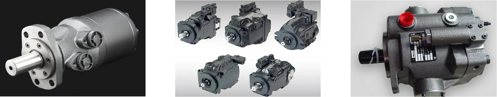 抖圈-为du而生官网入口