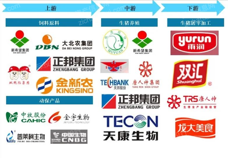 抖圈-为du而生官网入口