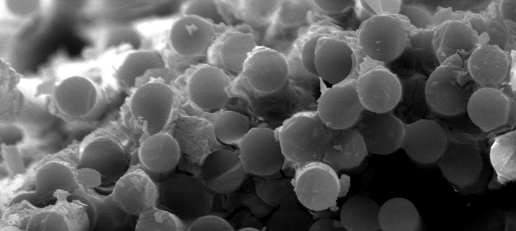 抖圈-为du而生官网入口