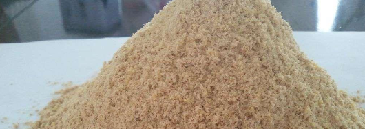 抖圈-为du而生官网入口