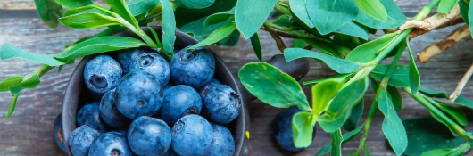 抖圈-为du而生官网入口