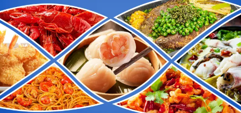 抖圈-为du而生官网入口