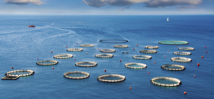 抖圈-为du而生官网入口