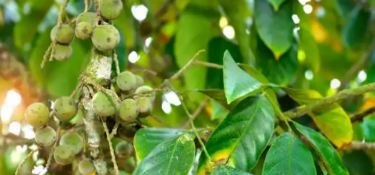 抖圈-为du而生官网入口