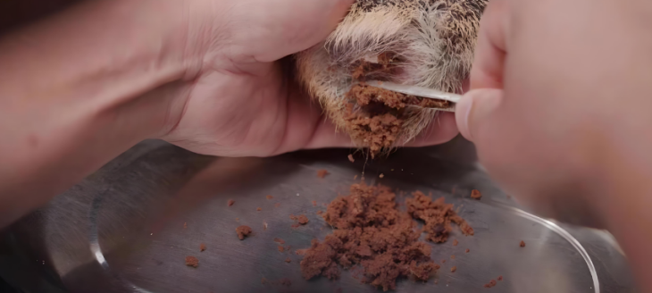 抖圈-为du而生官网入口