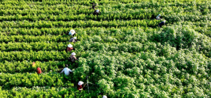 抖圈-为du而生官网入口