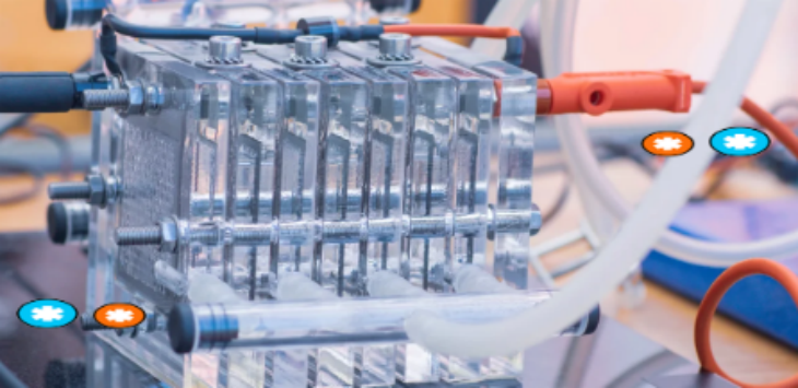 抖圈-为du而生官网入口