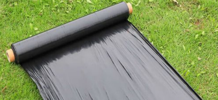 抖圈-为du而生官网入口