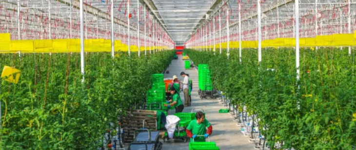 抖圈-为du而生官网入口