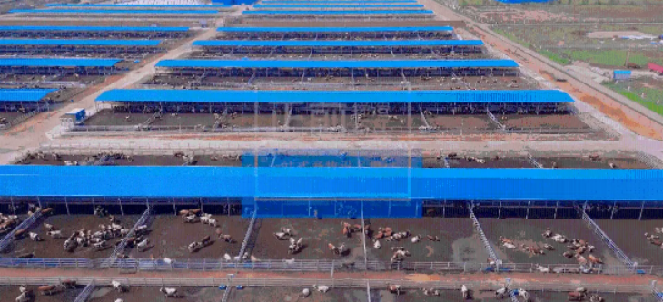 抖圈-为du而生官网入口