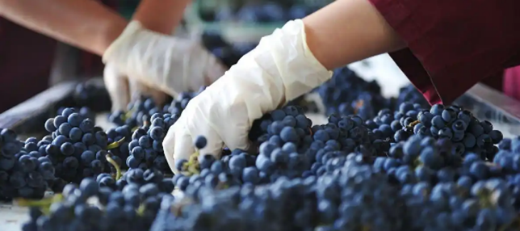 抖圈-为du而生官网入口