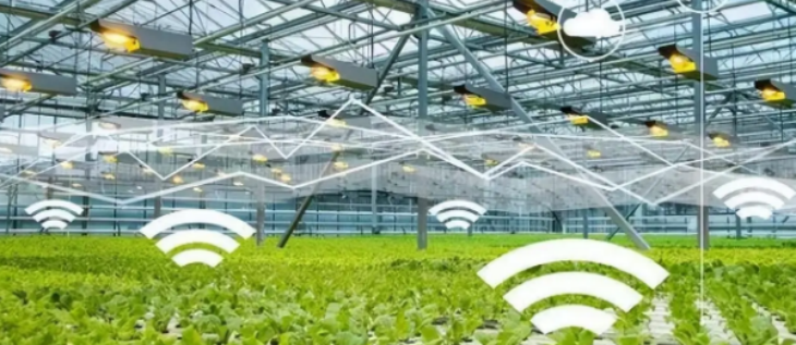 抖圈-为du而生官网入口