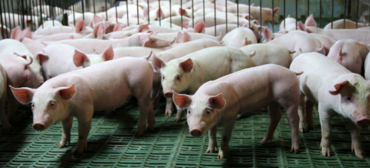 抖圈-为du而生官网入口