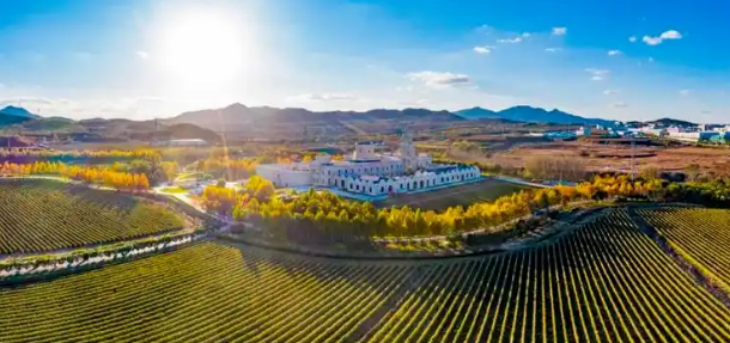 抖圈-为du而生官网入口