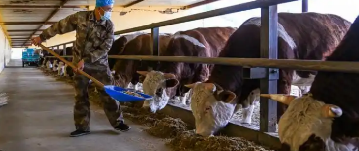 抖圈-为du而生官网入口