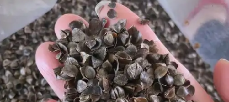 抖圈-为du而生官网入口