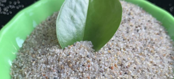 抖圈-为du而生官网入口