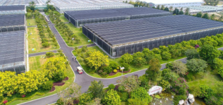 抖圈-为du而生官网入口