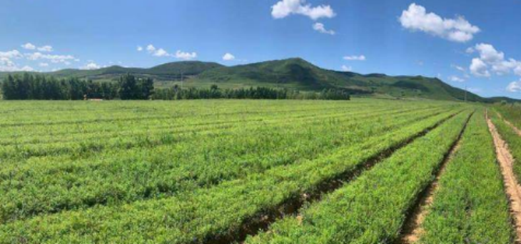 抖圈-为du而生官网入口