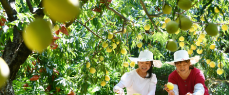 抖圈-为du而生官网入口