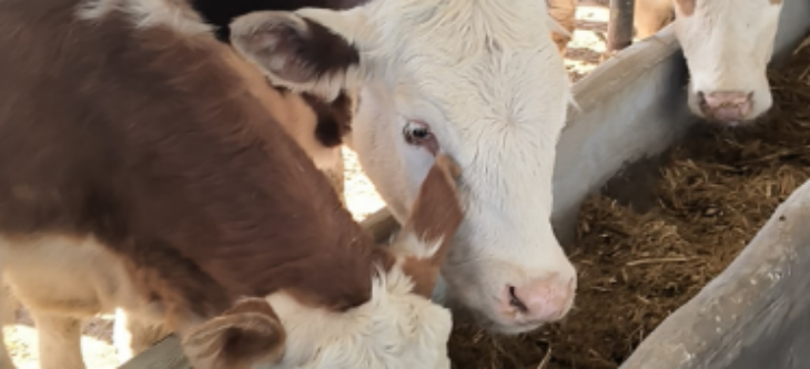 抖圈-为du而生官网入口