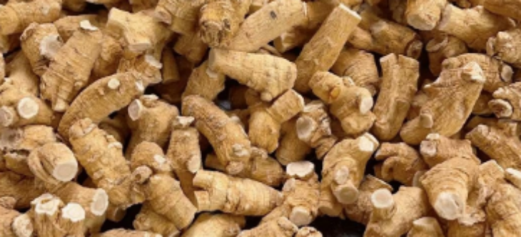 抖圈-为du而生官网入口